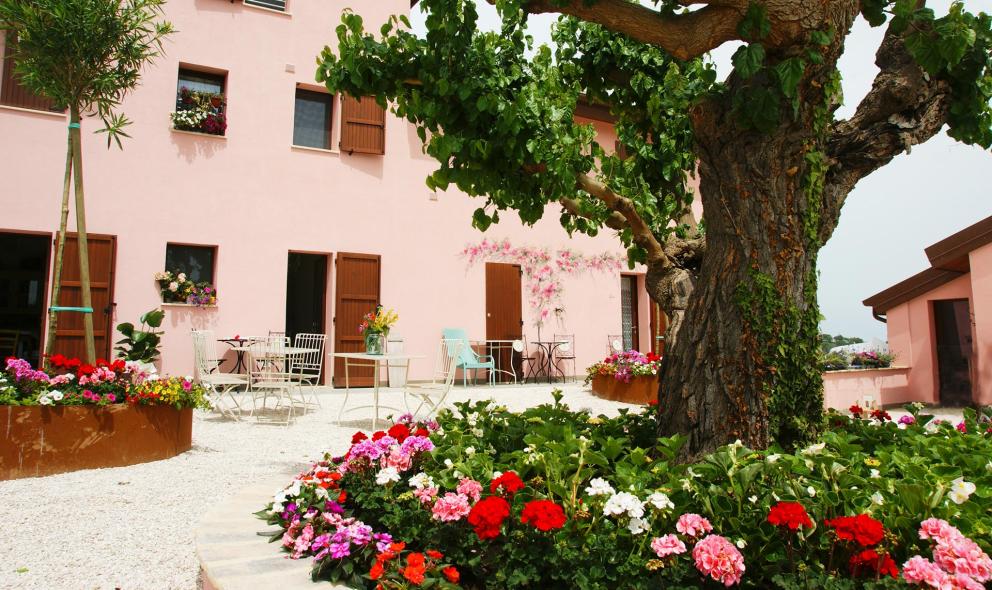 Giardino fiorito con alberi e sedie, davanti a una casa rosa con persiane marroni.